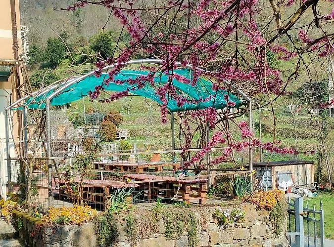 Ca Di Nonni 公寓 Chiesanuova (Liguria)